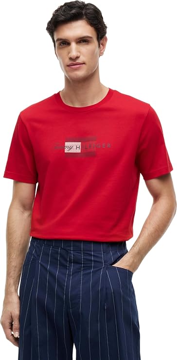 Tommy Hilfiger Men's Script Flag Regular Tee Mw0mw43226 S/S T-Shirt (Pack of 1)