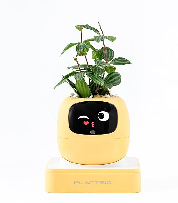 PLANTSIO Smart pet Planter Robot Guidance on Plant Care with Emojis, Adorable Plant Companion with Rich Gesture Interaction, Neat Desk Setup Gift (Amber)