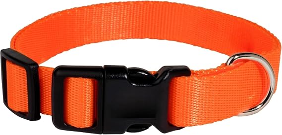 ECollar Replacement Strap, Compatible with Pet Safe, Invisible Fence (Orange)