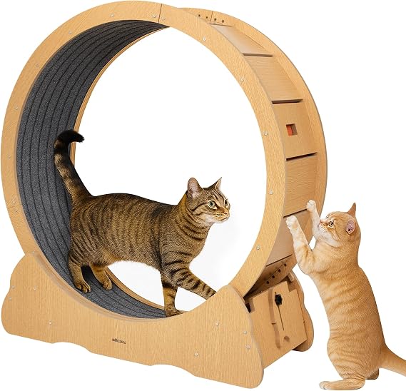 Cat Wheel, Large Cats Exercise Wheel, Indoor Cat Treadmill for Bengal, British Shorthair & Other Active Breeds (L-35inch)