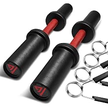 16" Olympic Dumbbell Handle, Loadable Dumbbells for 2-inch Olympic Weight Plates, Dumbbell Bar for Home Gym Strength Training, 2 Pair of Spring Collars Included