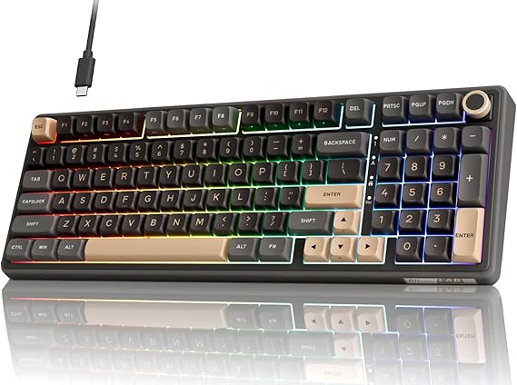 RK ROYAL KLUDGE R98 Pro 有線メカニカルキーボード RGB PCゲーミングキーボード ナンバーパッドとボリュームノブ付き ガスケットマウント MDA Profile PBT キーキャップ Win/Mac用 ホットスワップ可能 タクタイルベージュスイッチ