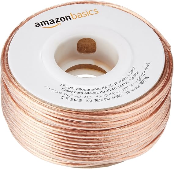 AmazonBasics SW100FT