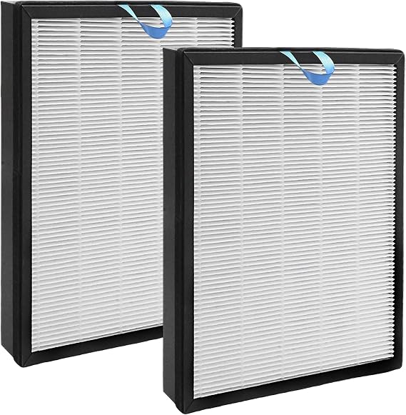 2 Pack Replacement Filter, Replacement for LEVOIT Vital 100S, Replacement for Vital 100S-P, Includes HEPA Filter and Activated Carbon Filter