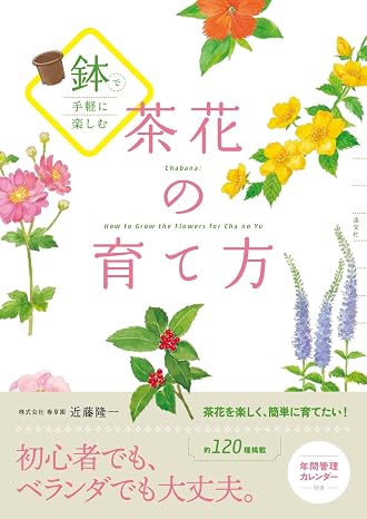 鉢で手軽に楽しむ 茶花の育て方