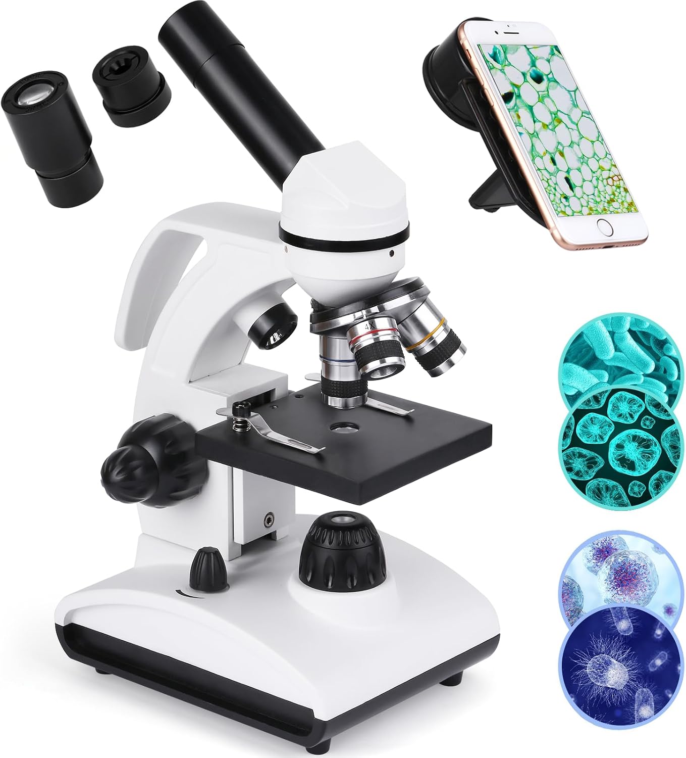 Professional Microscope for Adults with Phone Adapter, Microscope Slides Set for School Lab, Home, Biological Scientific Research