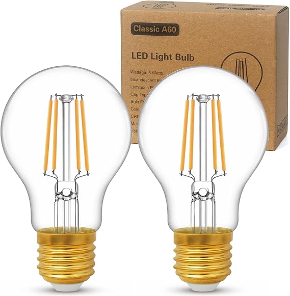 YOUDIAN LED E27 Edison Screw Bulb,Screw in Light Bulb 6W,Pack of 2 [Energy Class A]