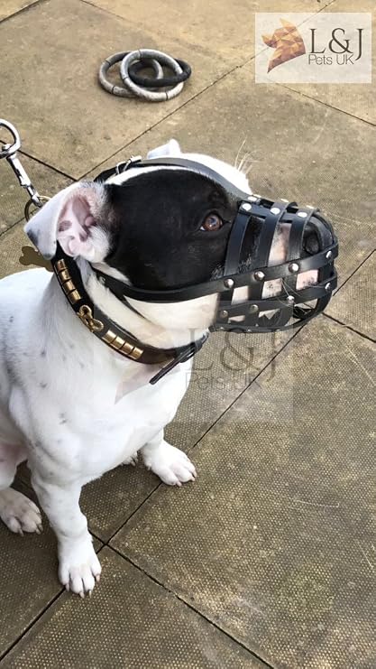 Light Real leather Dog Muzzle for Staffordshire Bull Terrier Staffy, Staffie