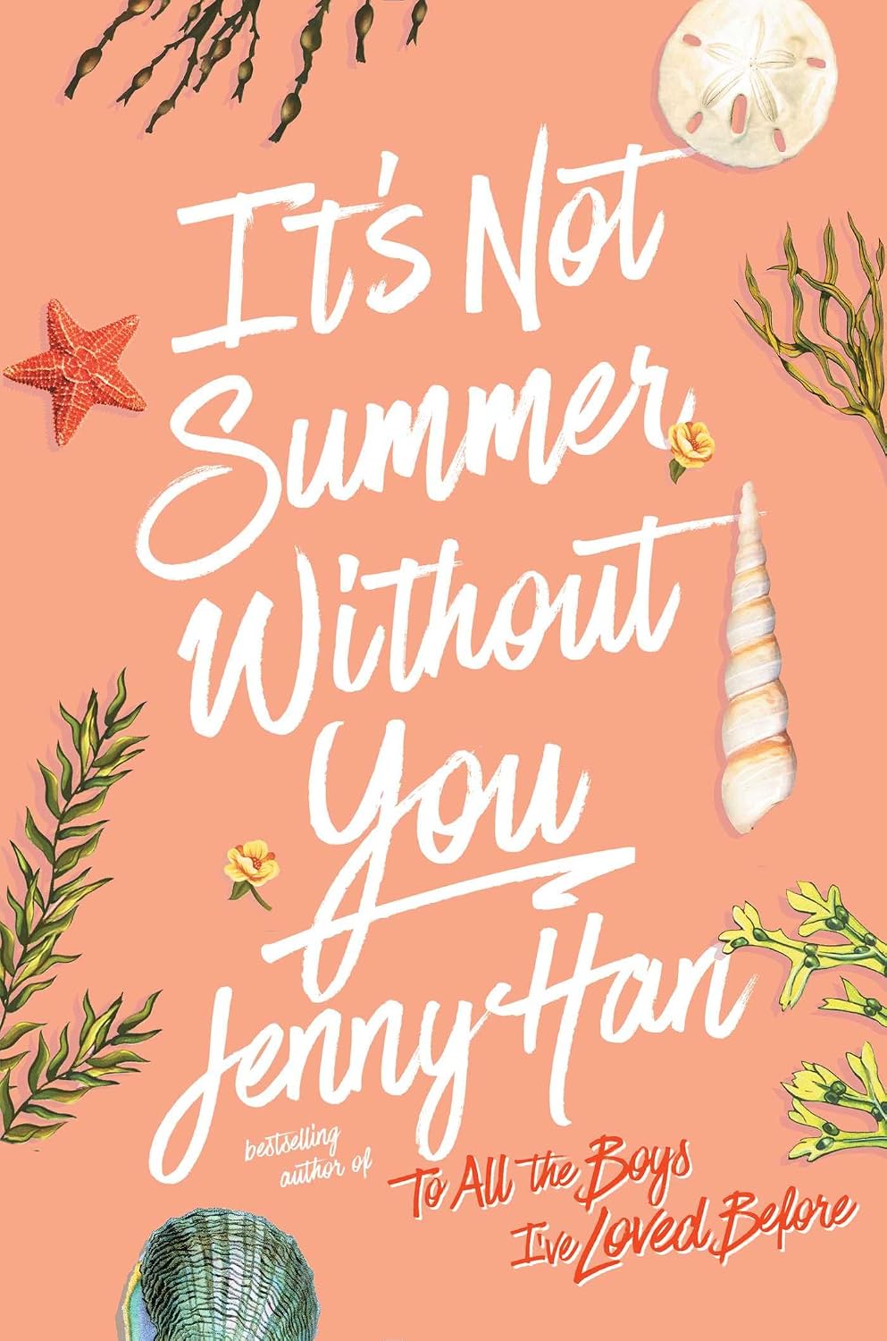 Its Not Summer Without You Ciltli Kapak – 27 Nisan 2010