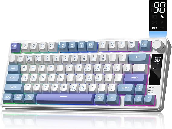 Womier DK75 75% Wireless Gaming Keyboard, Blue & Pruple 