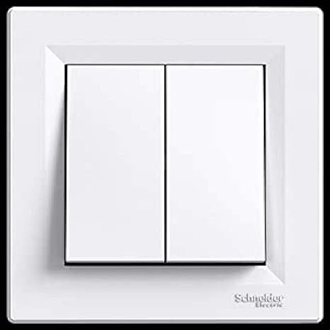Schneider Electric EPH0600121 Dual Switch