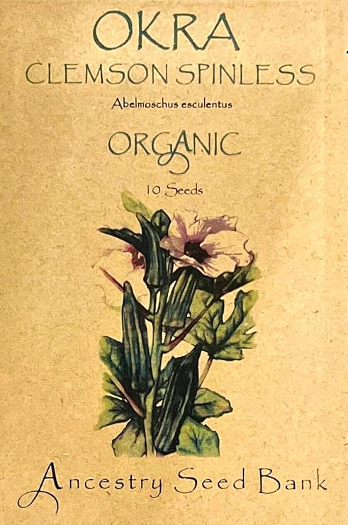 Organic Okra Clemson SPINLESS 10 Seeds Heirloom Seeds - Non GMO