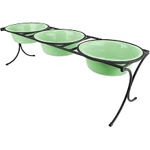 Platinum Pets 2 Cup Bistro Triple Raised Feeder with Stainless Steel Wide Rimmed Bowls, Mint Green