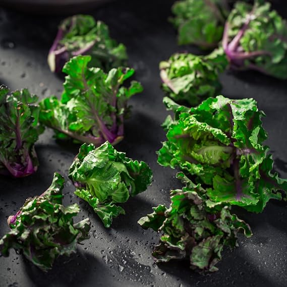 PREMIER SEEDS DIRECT - Kale/Brussel Sprout Cross - Flower Sprouts (20 Seeds)