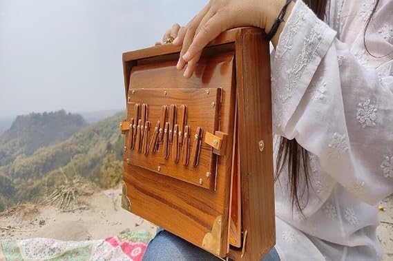 Shruti Box with 13 note Tuned 432 Hertz Padded Carry Bag Made by Teak wood