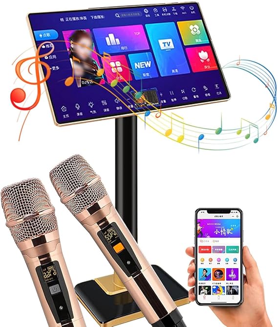 Professional Karaoke System, 21.5 inch Touch Screen, Wireless Microphone, App Control, Power Amplifier, Multi-Language Support