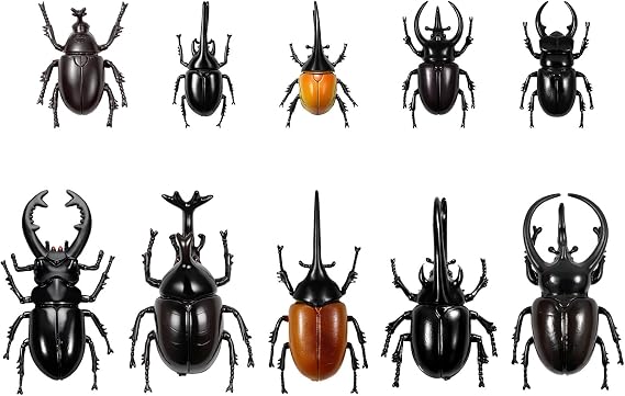Bbiamsleep 10pcs Beetle Figurine Realistic Beetles Figure Models Garden Animal Simulated Beetle Figures