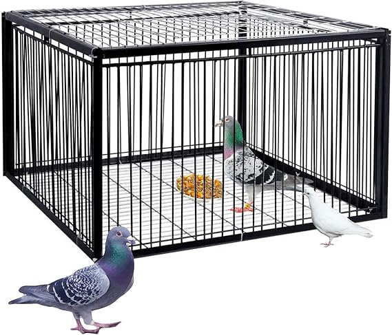 Escape-Proof Bird Trap Cage with Automatic Bird Collection, Pigeon Traps Cage Easy to Install Outdoor Use No Harm to Birds, Ideal for Gardens, Roofs, and Patios(Black,40 * 30 * 26CM)