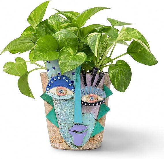 Abstract Face Plant Pot, Picasso Head Planter for Indoor Plants, Funny Face Flower Pot, Colorful Succulents Vase for Outdoor Garden and Home Decor (C)