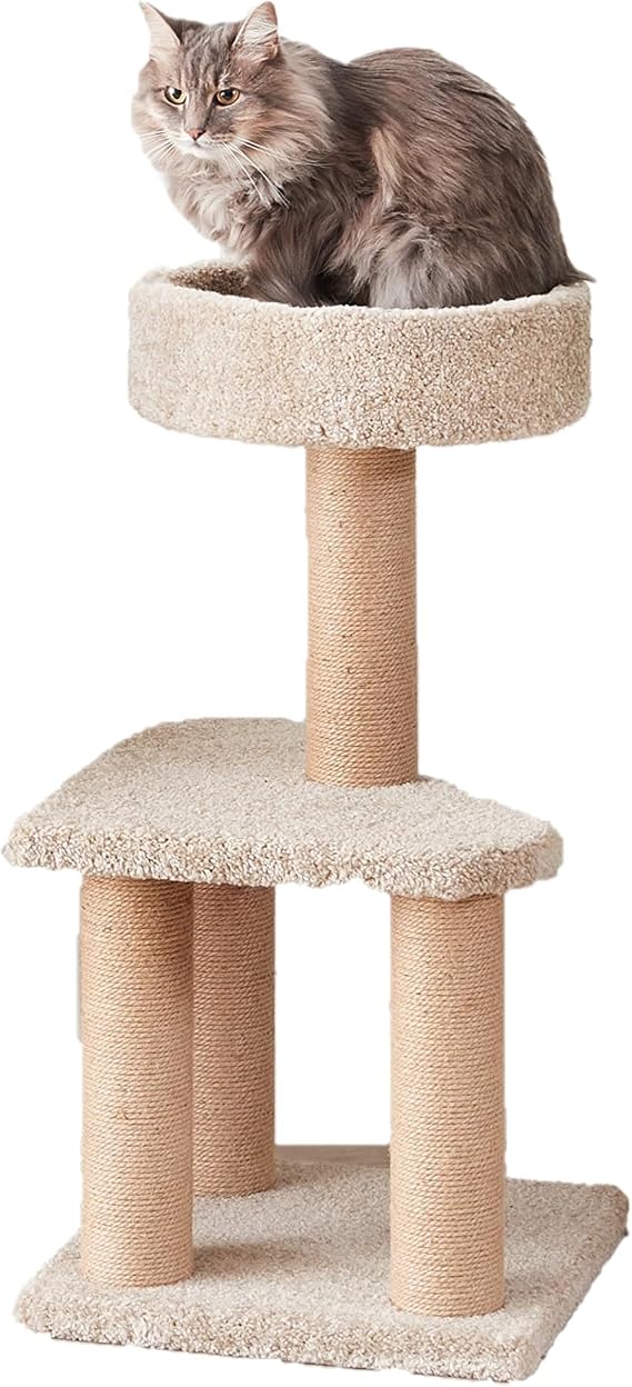 Amazon Basics - Multi-Level Cat Tower with Scratching Posts for Indoor Home Use, Beige, Medium Size 40(L) x 40(W) x 80(H) cm