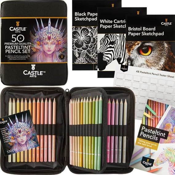 Castle Art Supplies 48 Pasteltint Coloured Pencils Set - with Extras