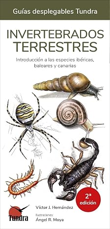 Invertebrados terrestres (2 edicion) (GUIAS DESPLEGABLES)