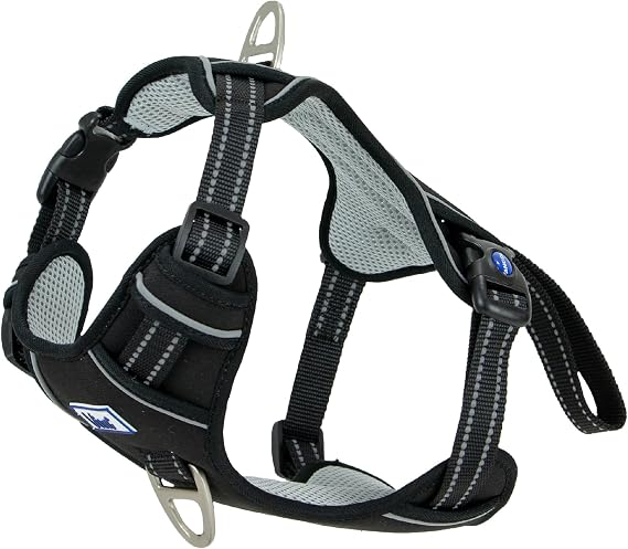 Ancol Viva Exercise and Travel Dog Harness in Black - Comfortable Pet Accessory with Padded Chest and 2 Leash Clips - Medium 45-65cm