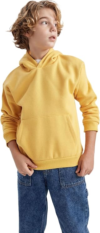 DeFacto Erkek Çocuk Regular Fit Kapüşonlu Sweatshirt