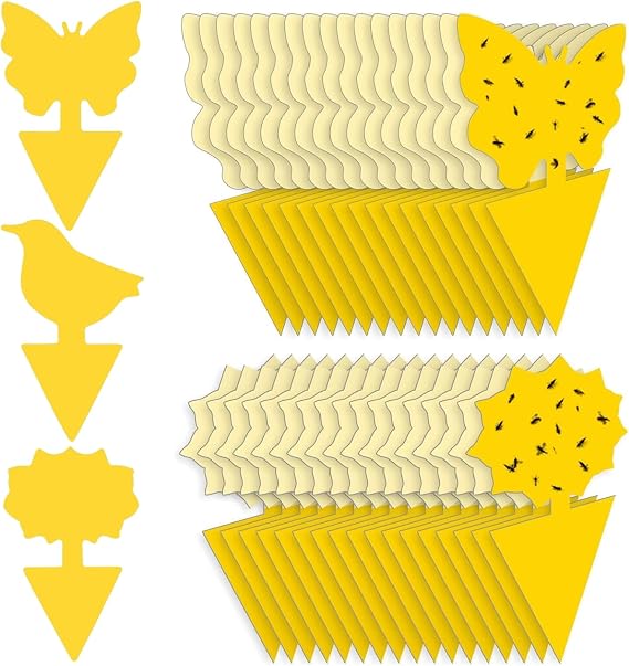 60 Pcs Fruit Fly Traps, Double-sided Fungus Gnat Sticky Fly Catcher for Plant Fly Control Indoor Outdoor Multiple Insects Control - Non-Toxic, Waterproof