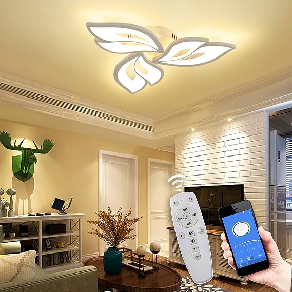 LED Ceiling Light Dimmable Living Room Lamp with Remote Control Colour Changing Bedroom Ceiling Lamp [Energy Class E]
