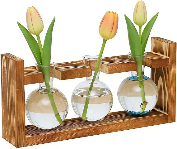 Glass Plant Propagation Station with Wooden Stand - Set of 3 Bud Vases for Hydroponic Herb Flower Cuttings, Elegant Terrarium Kit for Indoor Plants, Stylish Kitchen Windowsill or Desk Decor