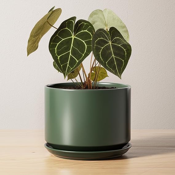 LE TAUCI Ceramic Plant Pot, 17 cm, Ceramic Plant Pots Indoor, Green