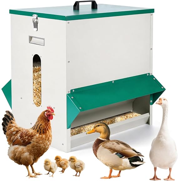 Metal Automatic Gravity Chicken Feeder Poultry with Lid and Plug for Duck