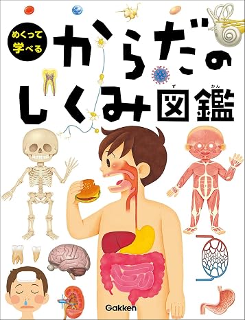 からだのしくみ図鑑 めくって学べる