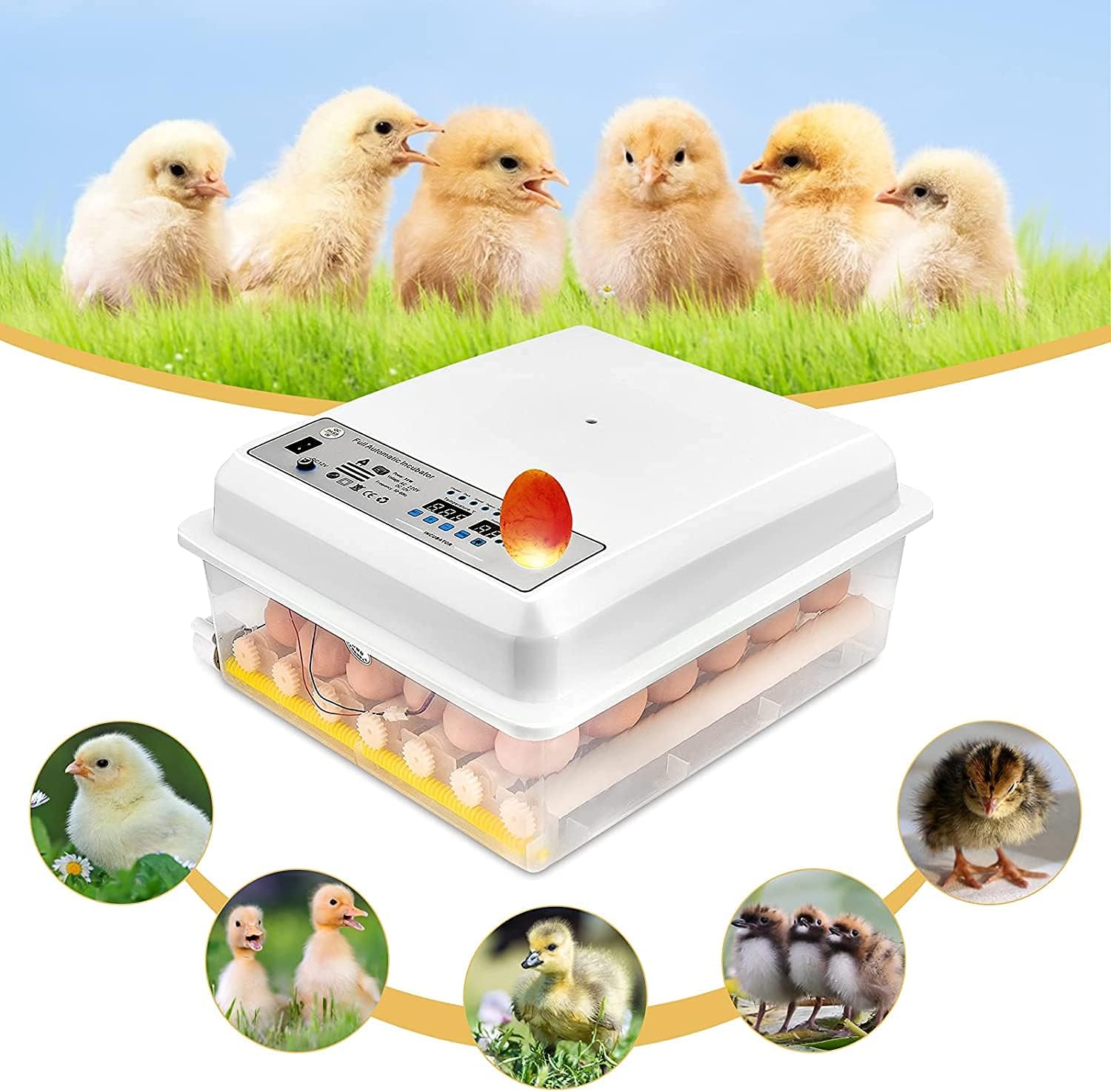 Yumurta Brooder, 36 Yumurta Otomatik Turner Sıcaklık Kontrolü Yumurta Yetiştiricisi Kuluçka Türkiye Ördek Kaz Bıldırcın Tavuk Yumurtası