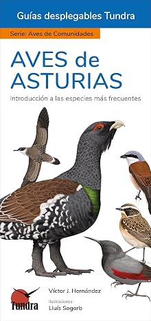 Aves de asturias (GUIAS DESPLEGABLES)
