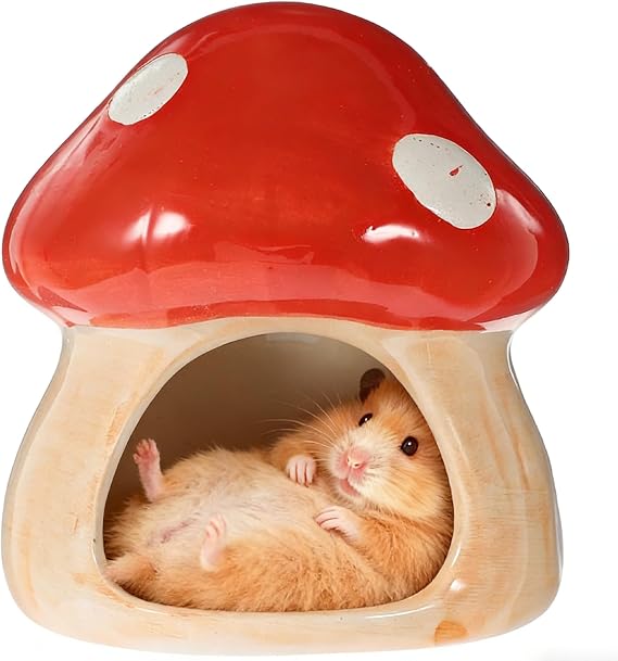 1 Piece Ceramic House for Hamsters Unique Hamster House Ceramic