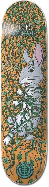 Element Trapped Skateboard Deck (8.25" - Schaar)
