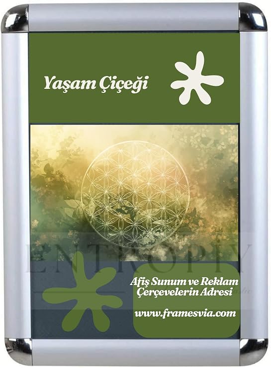 4 Adet Videolu - SET a4 21x30 Belge Çerçevesi - Rondo Açılır Kapanır – İşyeri Eczane Kurum AVM Okul için Duvara Monte Edilebilir (4)
