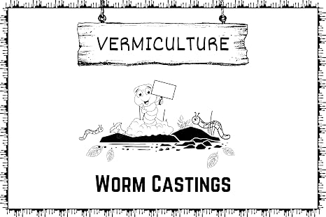 Vermiculture Premium Worm Castings | Multipurpose Soil Fertiliser | Complete Plant Feed | Indoor Outdoor Use (1L)