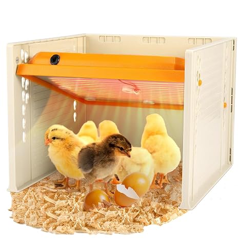 Chick Brooder Heating Plate, 10" x 10" Adjustable Temperature Pet Incubator
