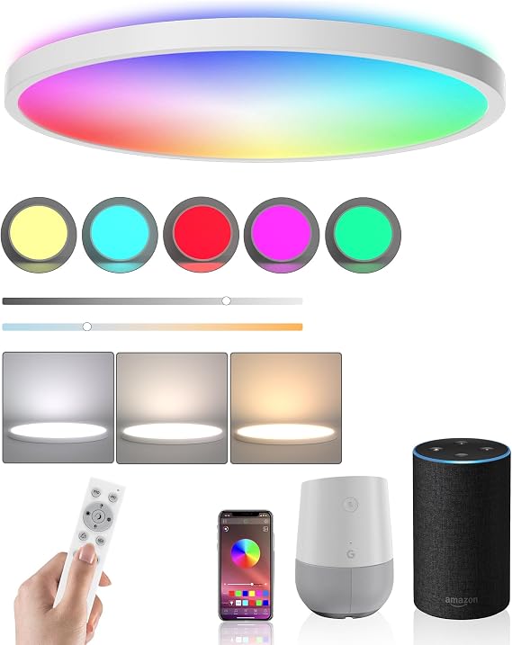 Ceiling Light LED Dimmable Flush Mount Flat RGB Smart Alexa Google Home WiFi with Remote Control for Living Room Bedroom Dinning Kitchen Hallway Bathroom 12Inch 24W White [Energy Class A]