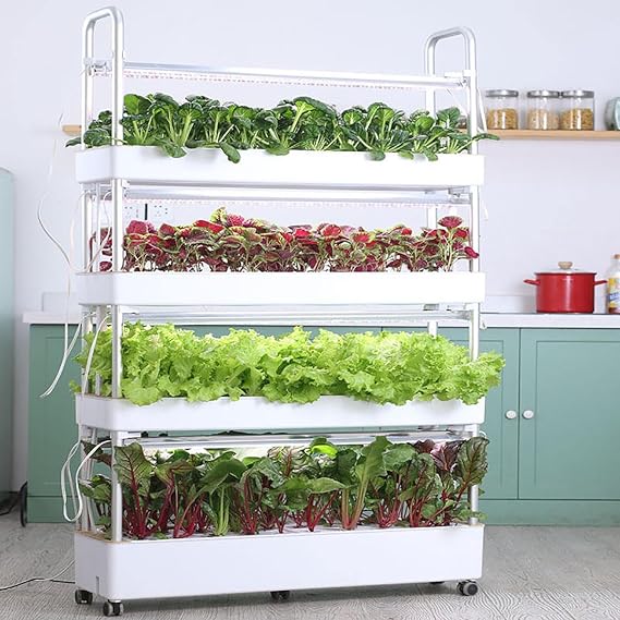 Vertical Hydroponics Growing System, 64 Hole Tower Hydro Indoor Herb Garden with LED Grow Light, Plants Germination Kit with Timer, Indoor Gardening Gifts for Women