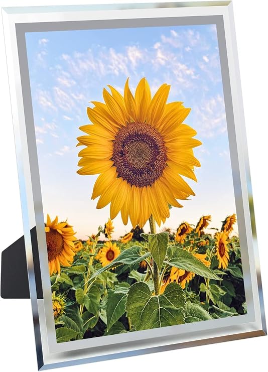 A4 Picture Frames, glass photo frames, Certificates frames, wedding photo frame for Wall Mount and Tabletop Display-Classic Silver Edge