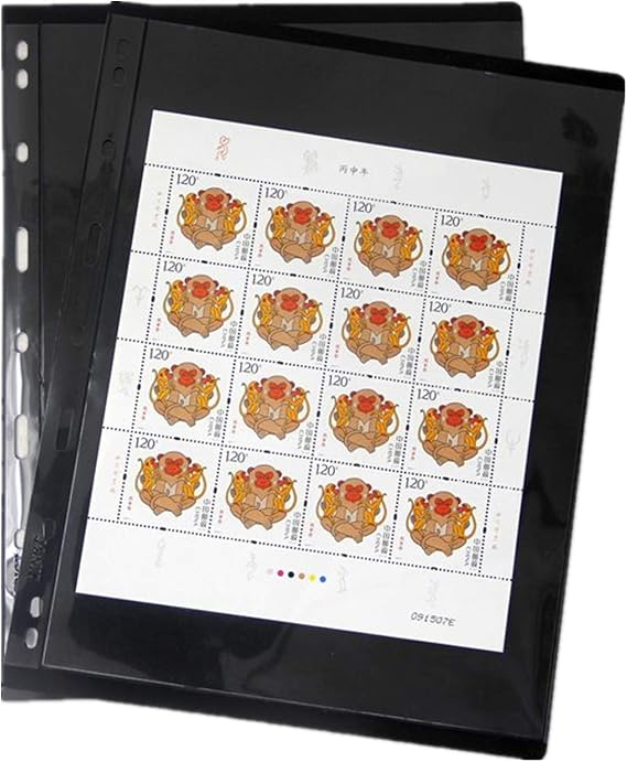 Stamp Pages for Stamp Album Binder, 10 Sheet 1S Pages for Collectors, Professional Pack (1 Row)