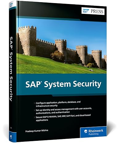 Sap System Security