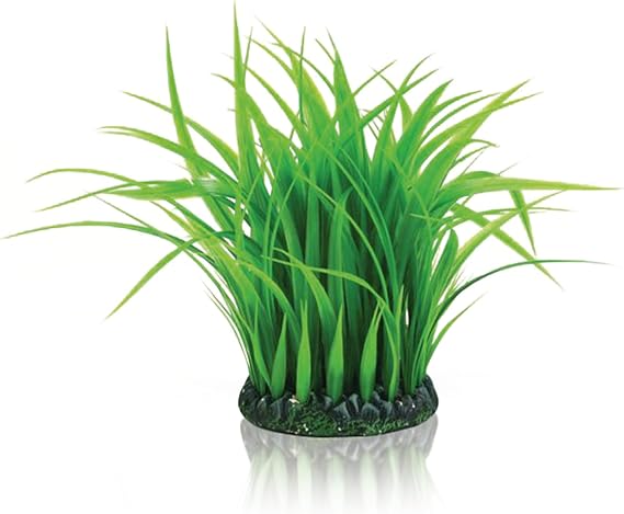 biOrb Fish Tank Decorations, Grass Ring Plant (1 x Medium Green Aquarium Plant), Fish Tank Plants To Add Colour, Perfect For Around Air Column, Natural-Looking Aquarium Decor For Scenic Background
