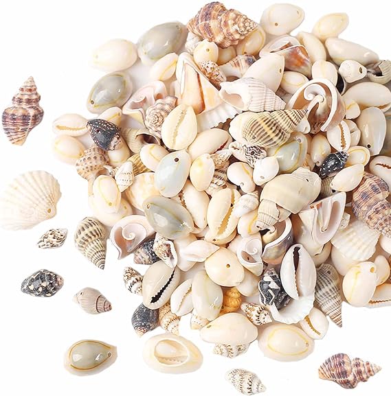180g Shell Beads Clams Crafting Shells with Holes 12-15mm-B Ideal for Crafting, Decoration or Jewellery Making (180mix)