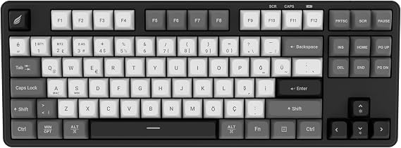 Hawk Gaming HK220 Membrane RGB Kablosuz/Bluetooth Siyah Beyaz TKL Türkçe Gaming Klavye