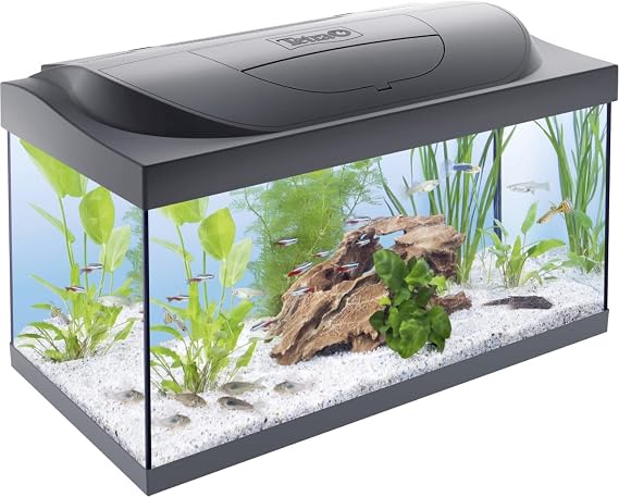 Tetra Starter Line 54 l akvaryum komple set – gündüz ve gece lambası LED aydınlatma, iç filtre, ısıtıcı, balık yemi ve su hazırlama cihazı dahil [Enerji Sınıfı F]